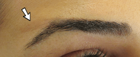 Arch-to-Tail Tattoo Almost Completely Gone and Her Natural Brow Shape ...